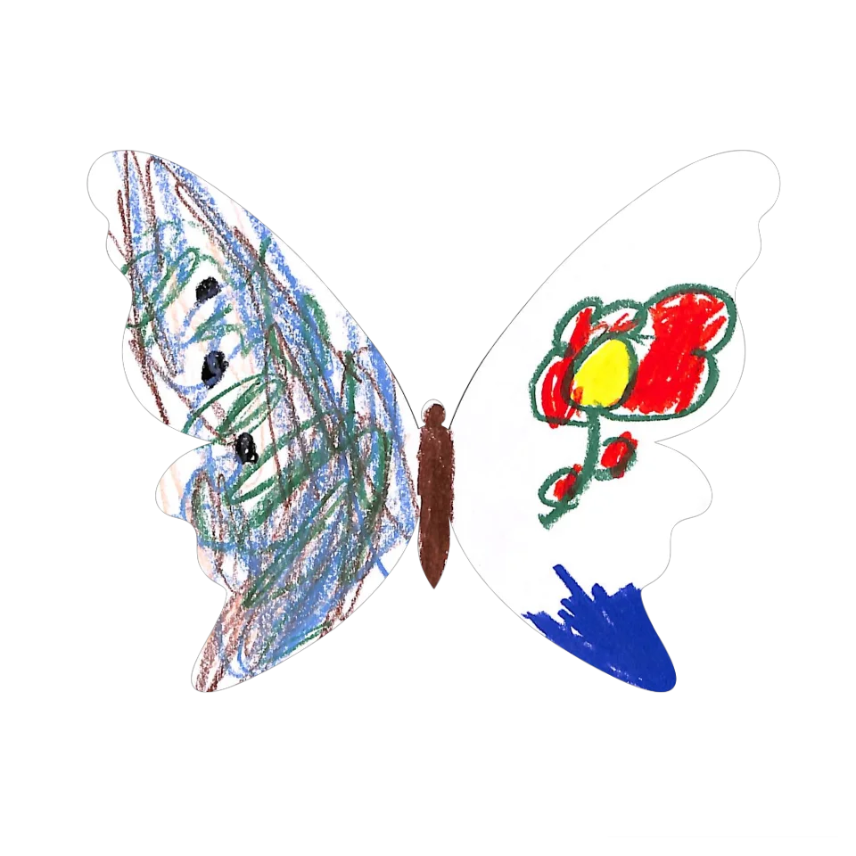 Original Butterfly Image