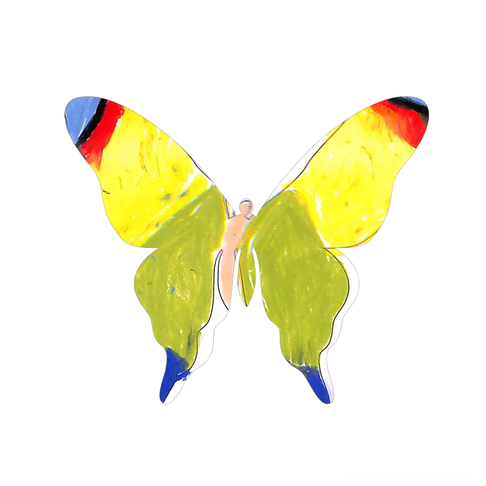 Original Butterfly Image