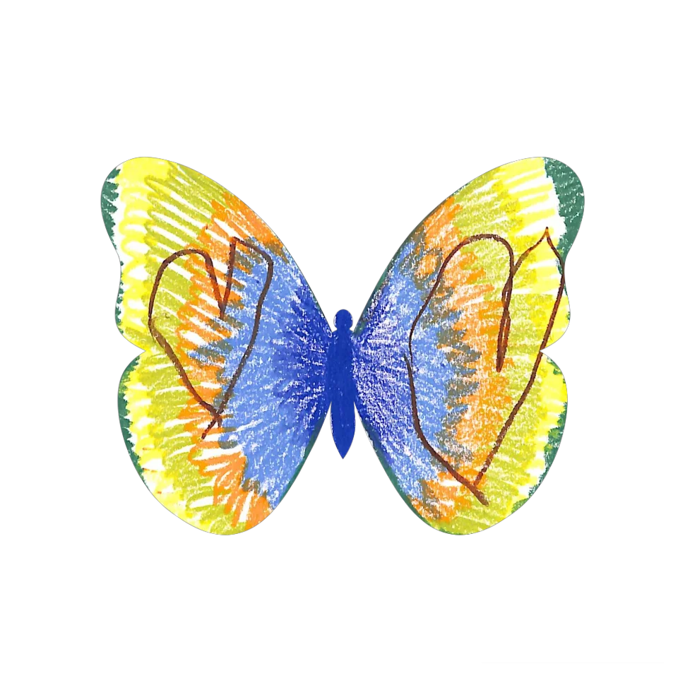 Original Butterfly Image