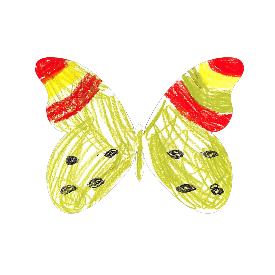 Original Butterfly Image