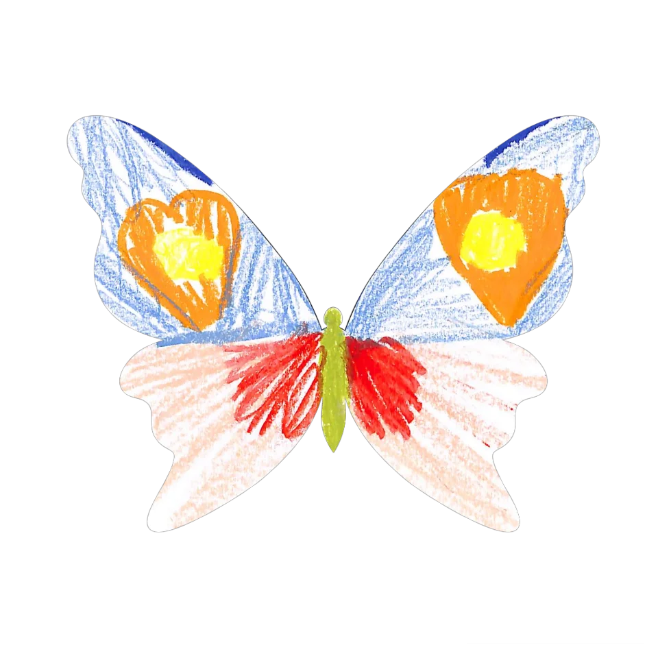 Original Butterfly Image
