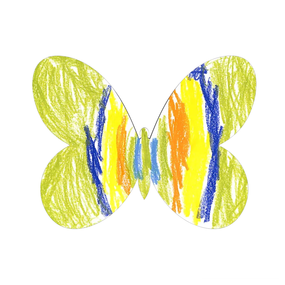 Original Butterfly Image