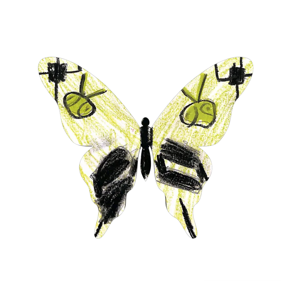 Original Butterfly Image