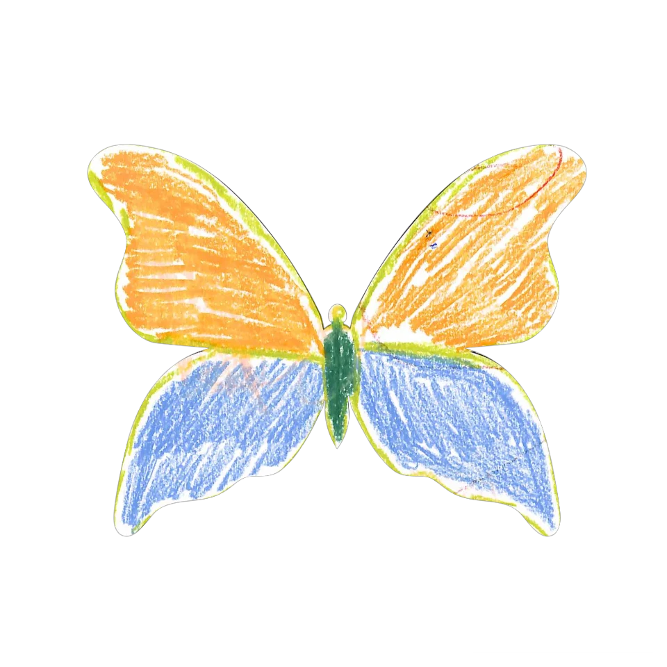 Original Butterfly Image
