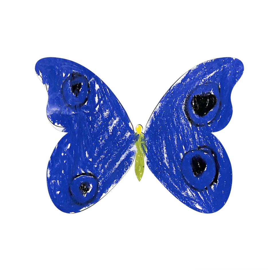 Original Butterfly Image