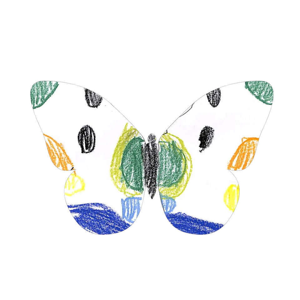 Original Butterfly Image