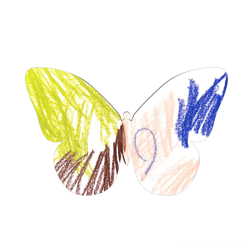 Original Butterfly Image