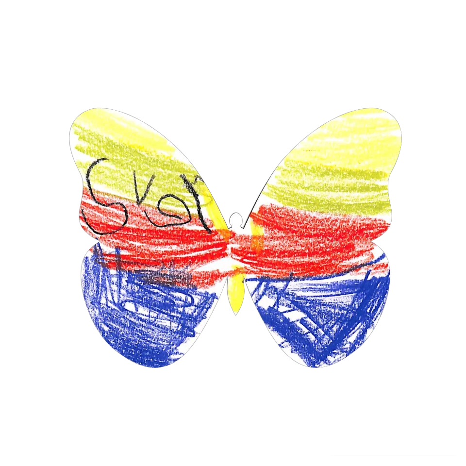 Original Butterfly Image