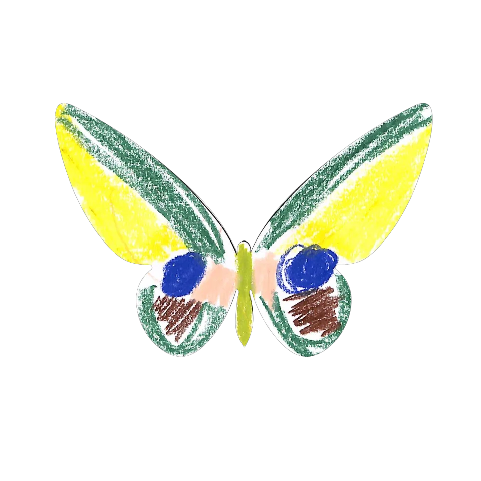 Original Butterfly Image