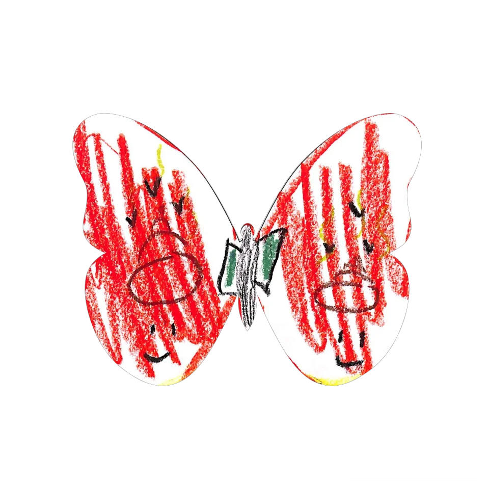 Original Butterfly Image