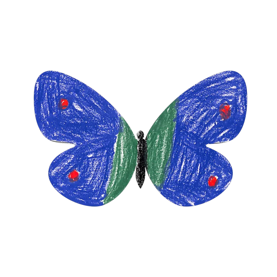Original Butterfly Image