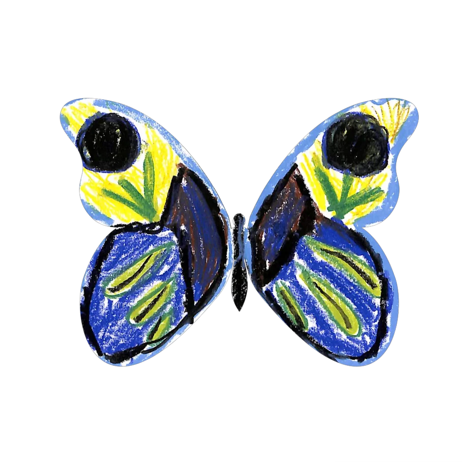 Original Butterfly Image