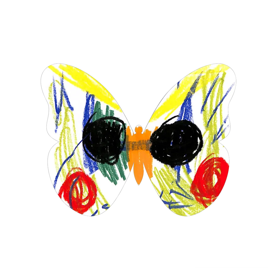Original Butterfly Image