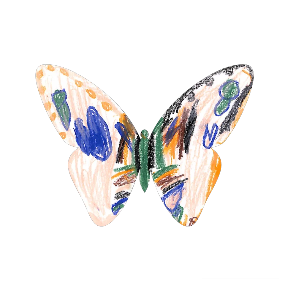 Original Butterfly Image