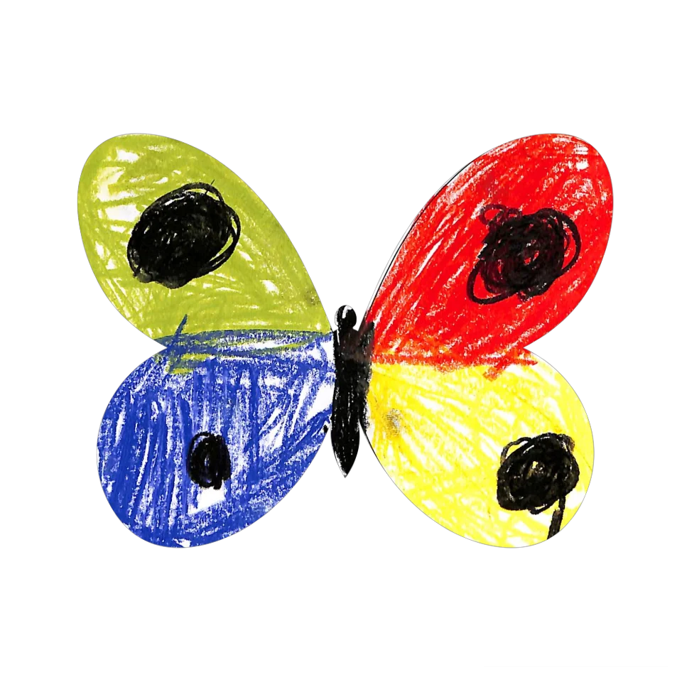 Original Butterfly Image