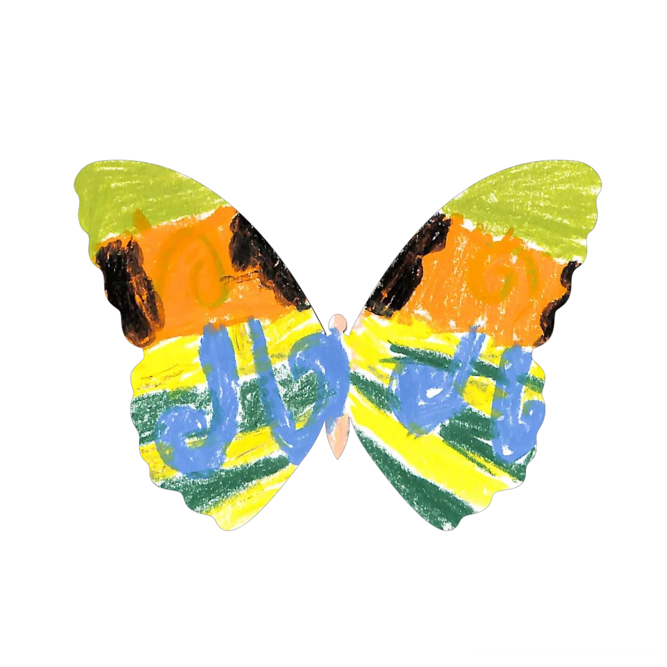 Original Butterfly Image