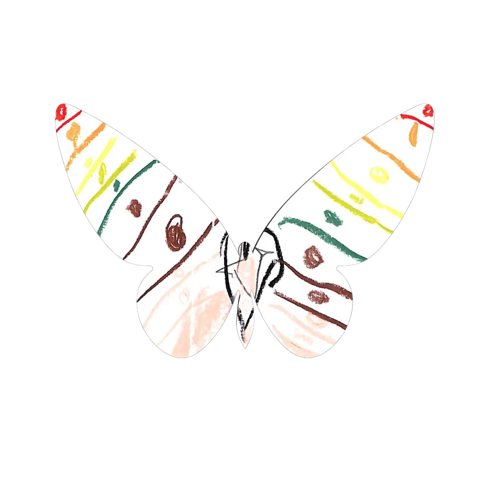 Original Butterfly Image