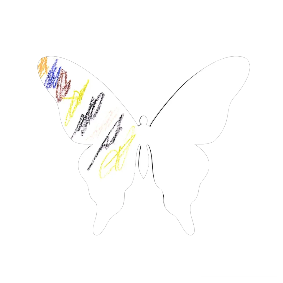 Original Butterfly Image