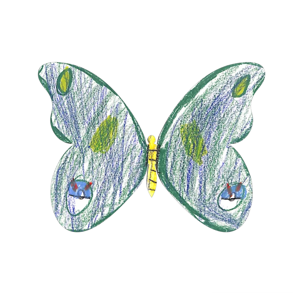 Original Butterfly Image
