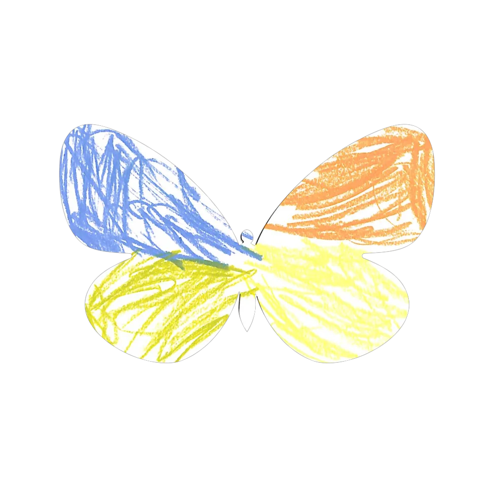 Original Butterfly Image
