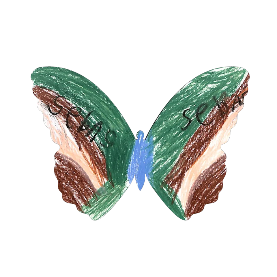 Original Butterfly Image