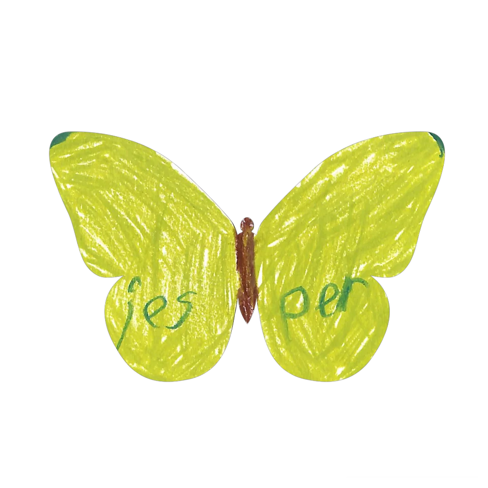 Original Butterfly Image