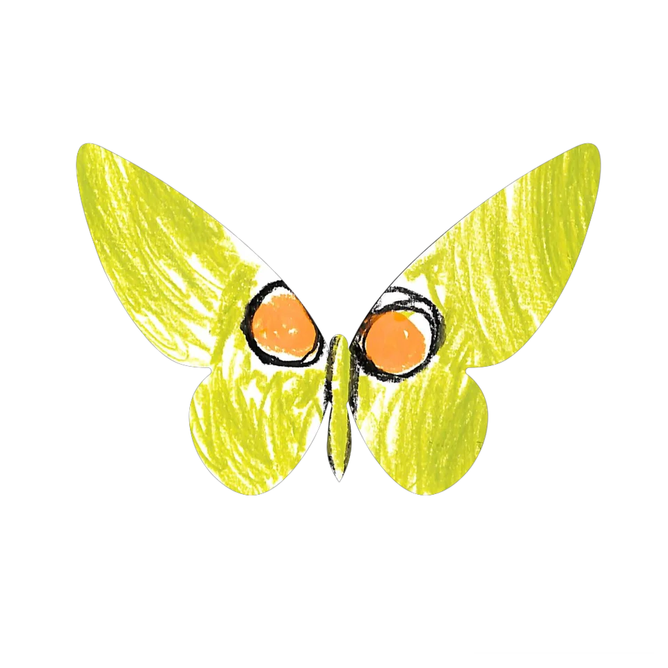 Original Butterfly Image