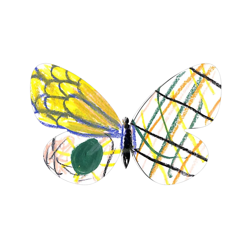 Original Butterfly Image