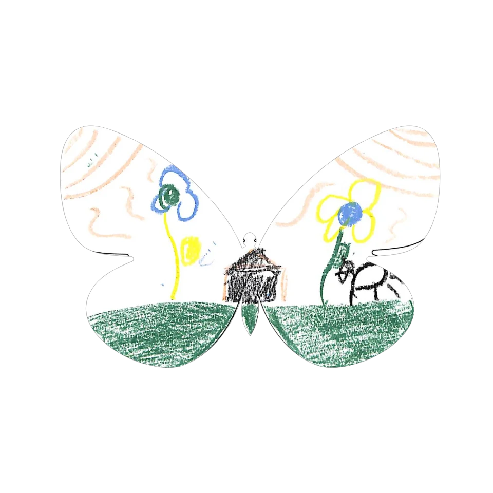 Original Butterfly Image