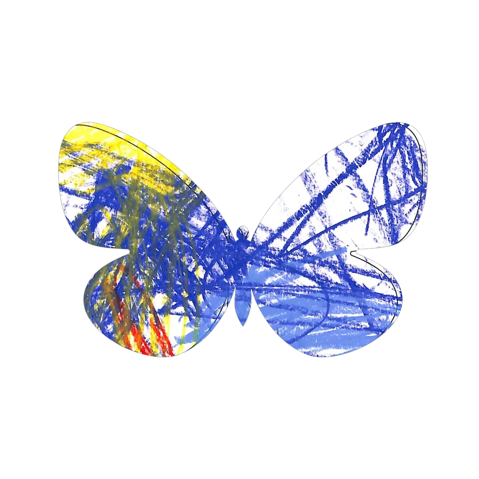 Original Butterfly Image