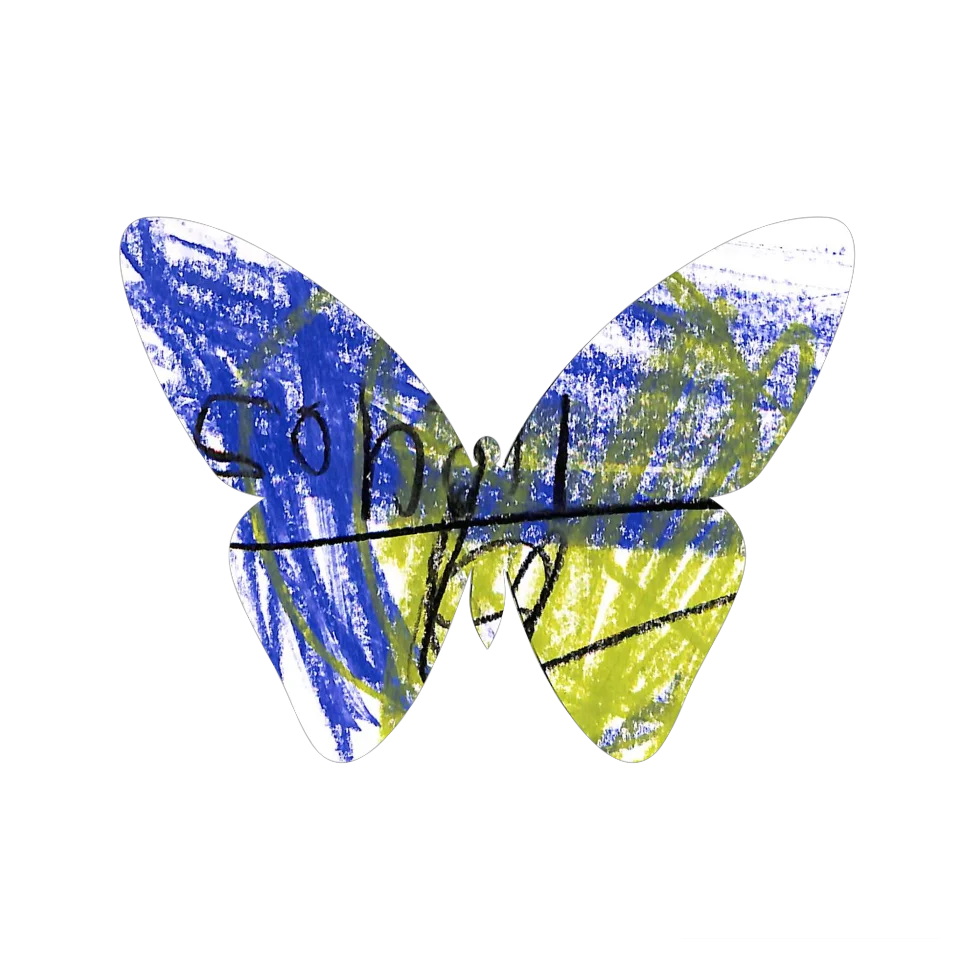Original Butterfly Image