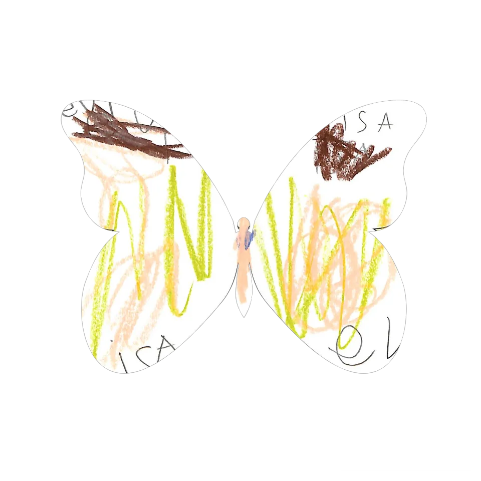 Original Butterfly Image