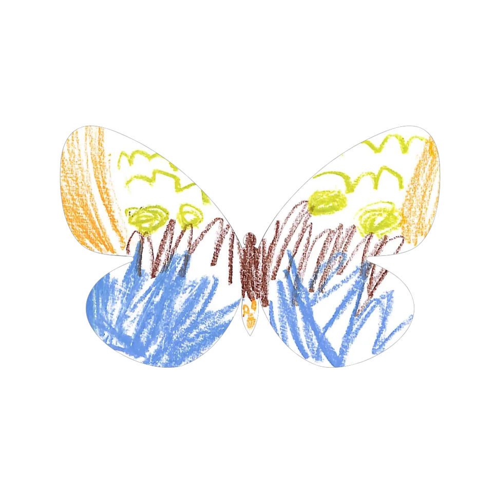 Original Butterfly Image