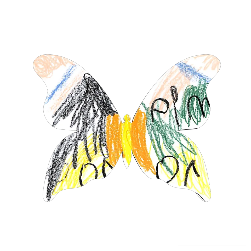 Original Butterfly Image