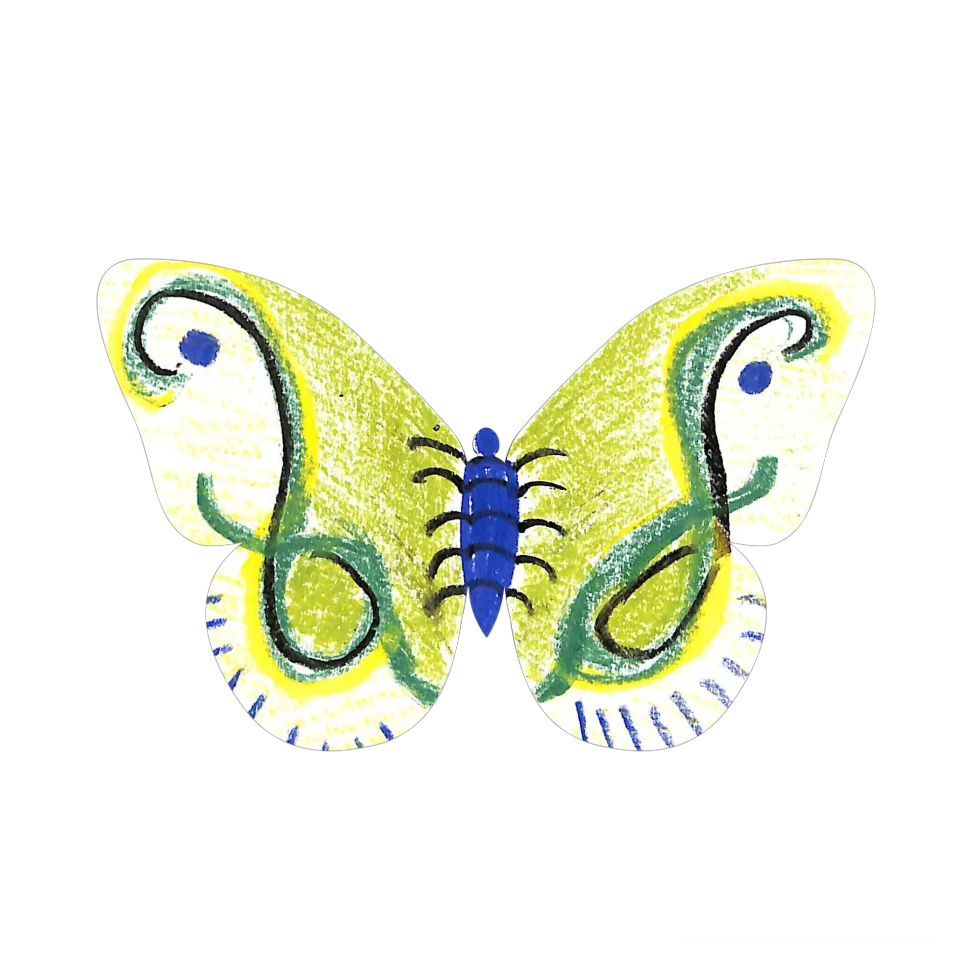 Original Butterfly Image