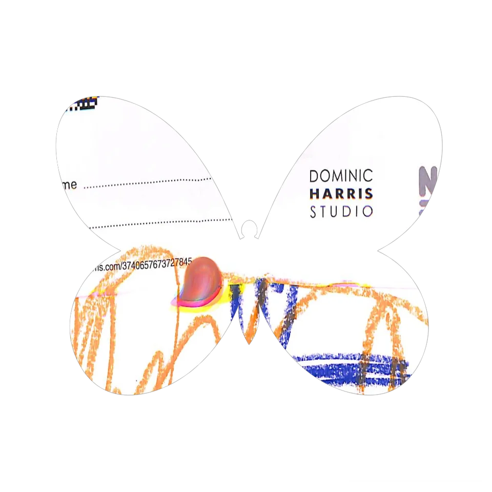 Original Butterfly Image