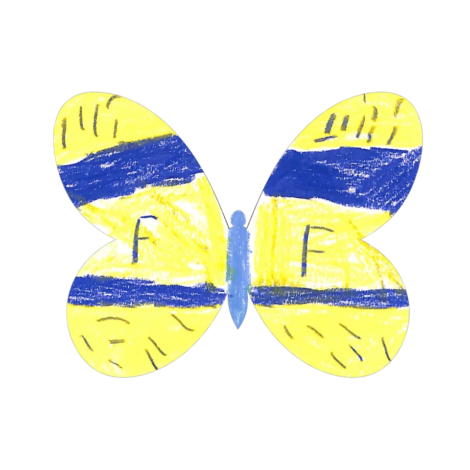 Original Butterfly Image