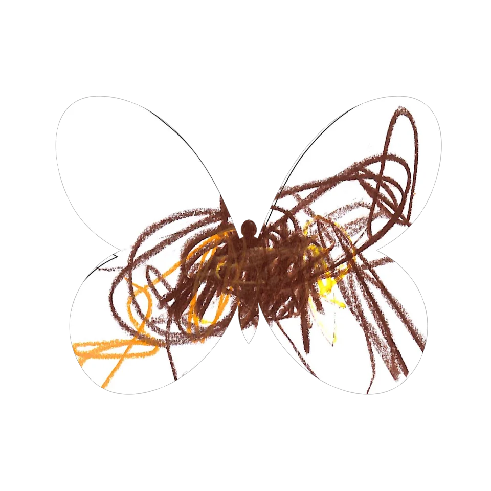 Original Butterfly Image