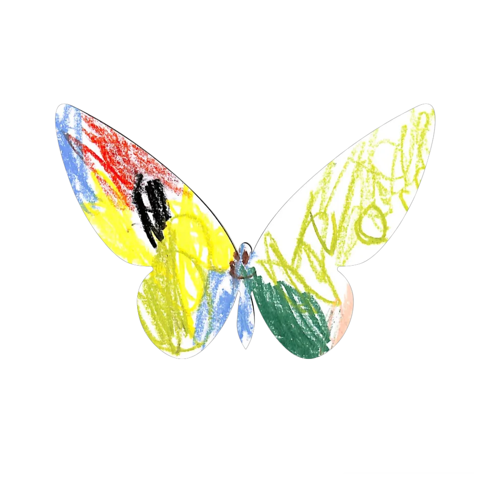 Original Butterfly Image