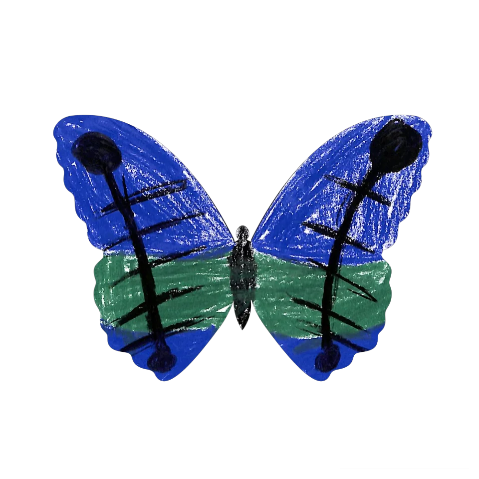 Original Butterfly Image
