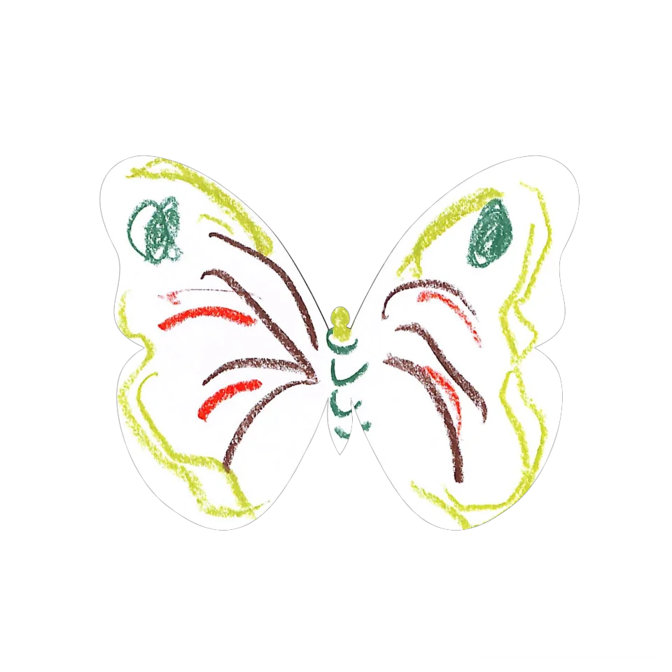 Original Butterfly Image