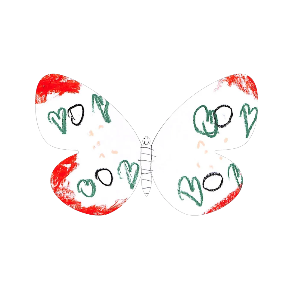 Original Butterfly Image