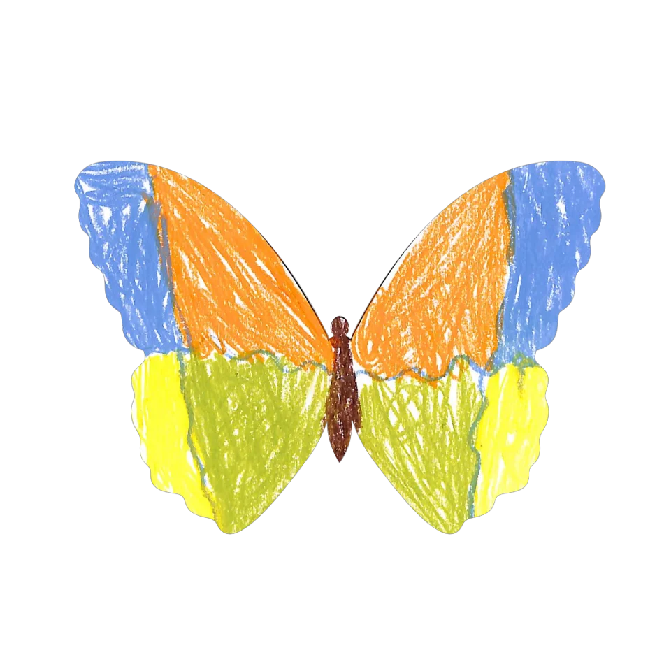 Original Butterfly Image