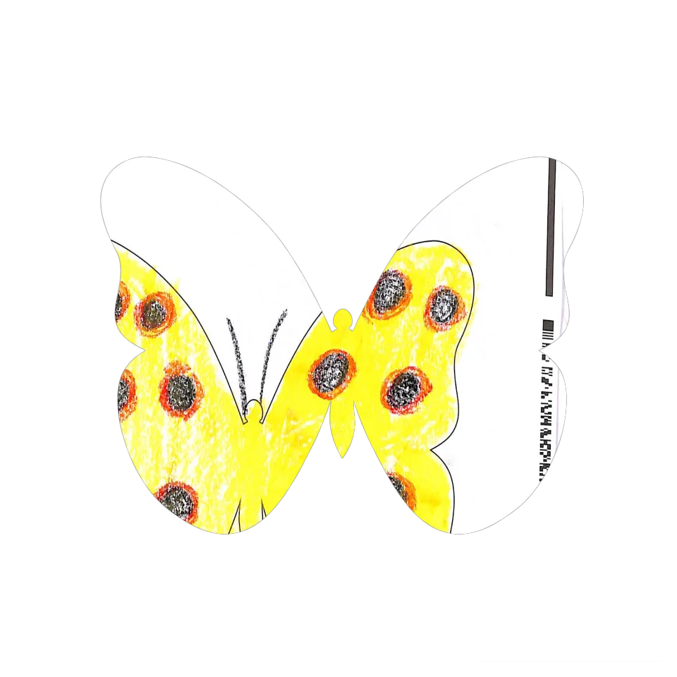 Original Butterfly Image