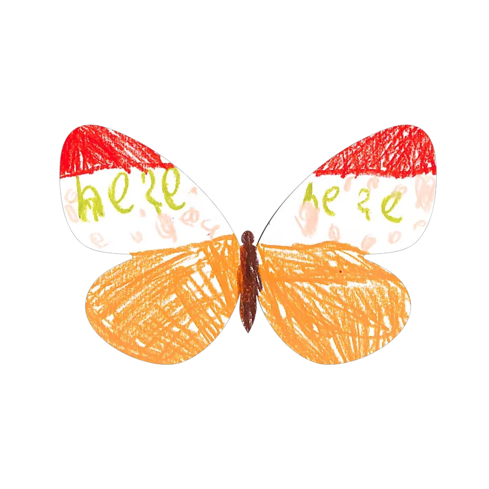 Original Butterfly Image