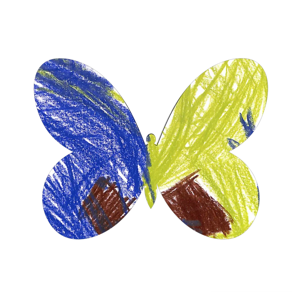 Original Butterfly Image