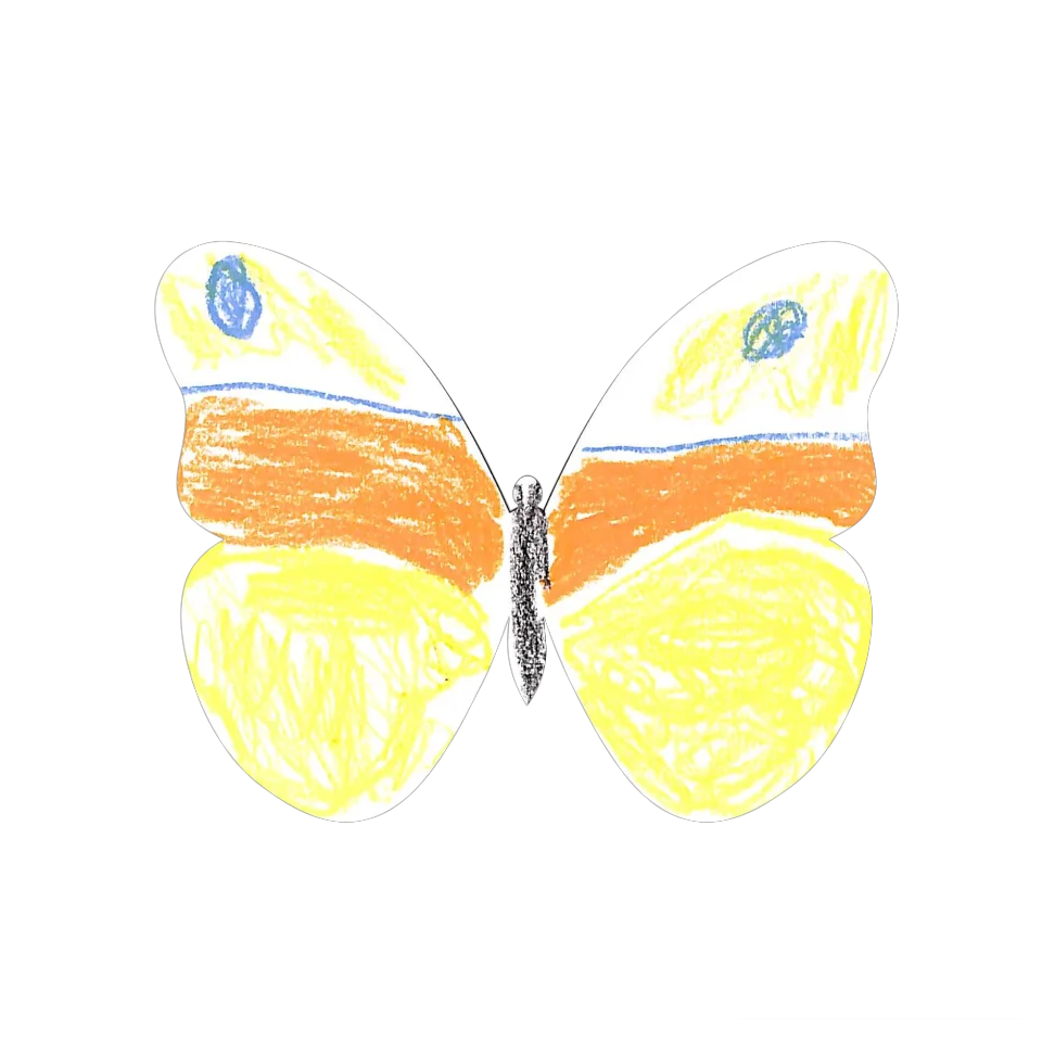 Original Butterfly Image