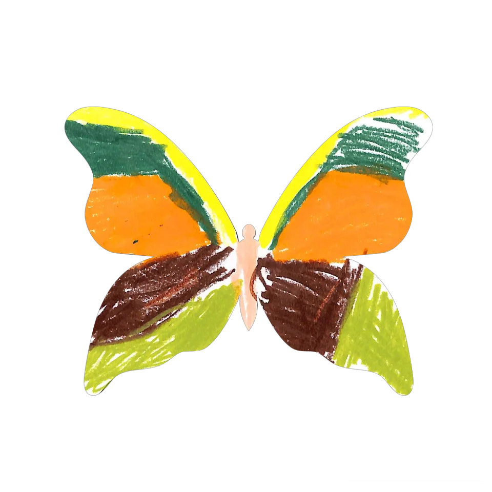 Original Butterfly Image