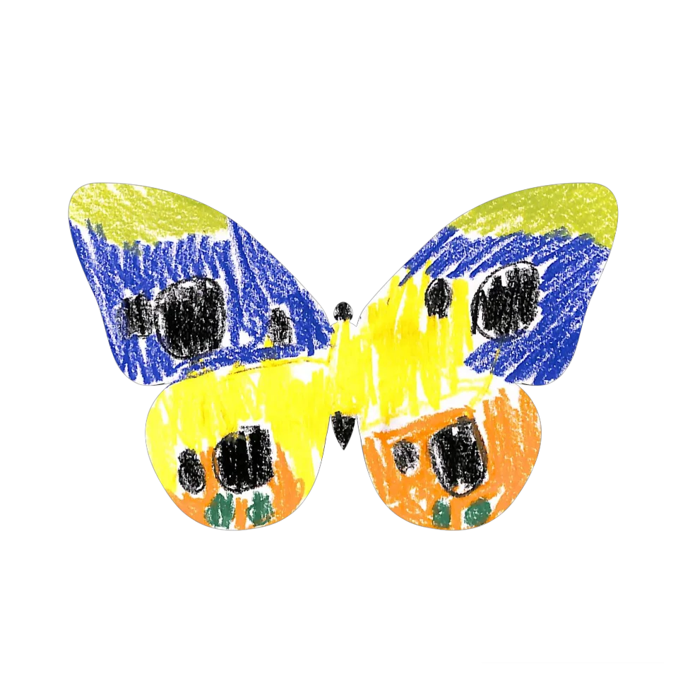 Original Butterfly Image