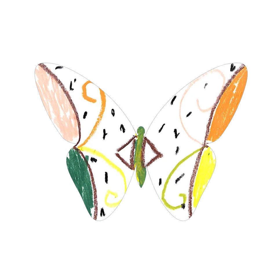 Original Butterfly Image